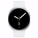 Часы Samsung Galaxy Watch 8 40mm Silver 250_100_492252